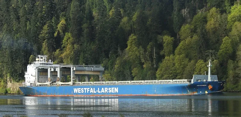 HOYANGER Container Ship IMO 9100073 photo 10