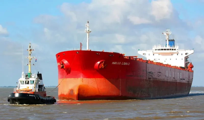 ORIENT LOONG Bulk Carrier IMO 9100085 photo 6