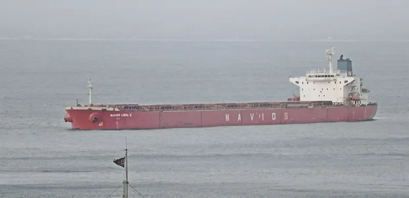 ORIENT LOONG Bulk Carrier IMO 9100085 photo 9
