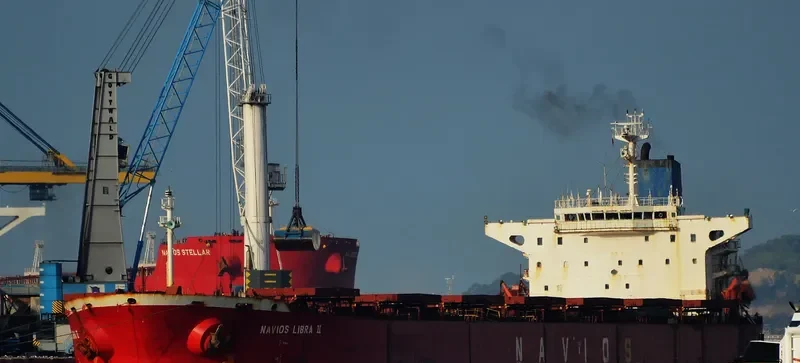 ORIENT LOONG Bulk Carrier IMO 9100085 photo 10