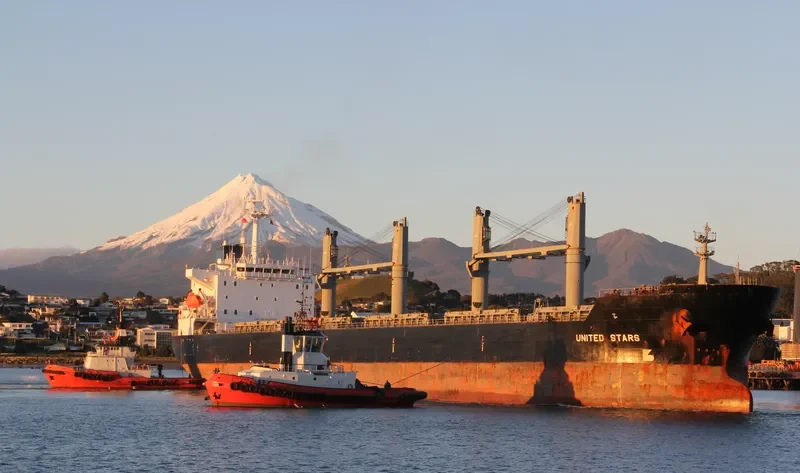 VERA P Bulk Carrier IMO 9100097 photo 9