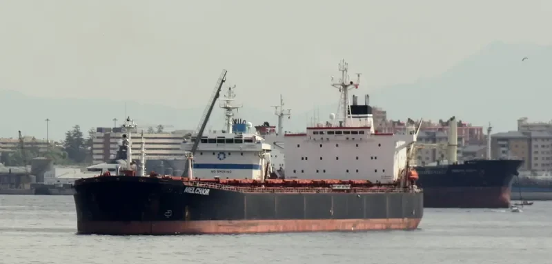 MELCHIOR Bulk Carrier IMO 9100102