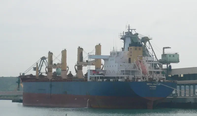 GOLDEN RESOURCE Bulk Carrier IMO 9100217 photo 3