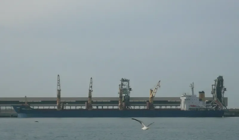GOLDEN RESOURCE Bulk Carrier IMO 9100217 photo 5