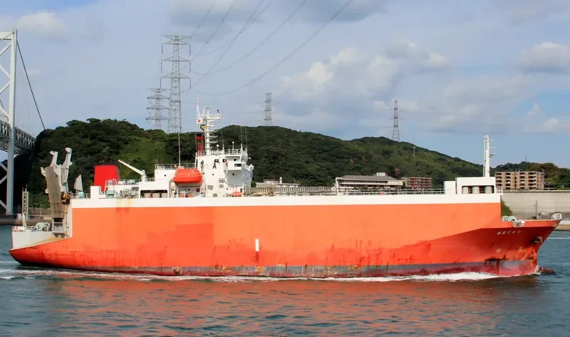 HARMONI MAS 8 General Cargo IMO 9100358 photo 3