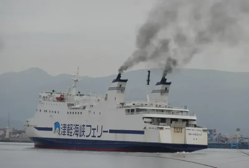 THE BLUE DOLPHIN Ro-Ro IMO 9100437 photo 3