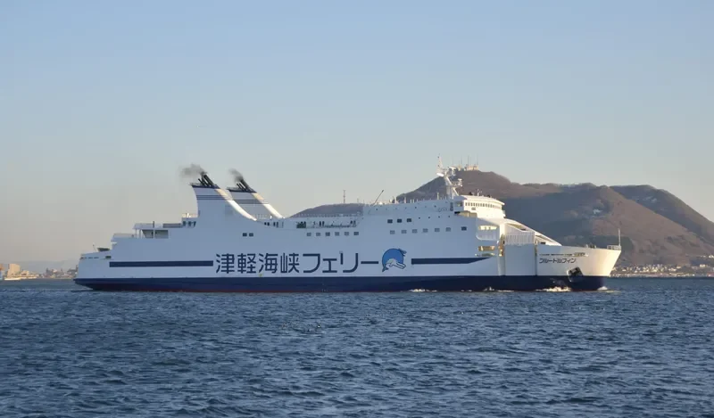 THE BLUE DOLPHIN Ro-Ro IMO 9100437 photo 4