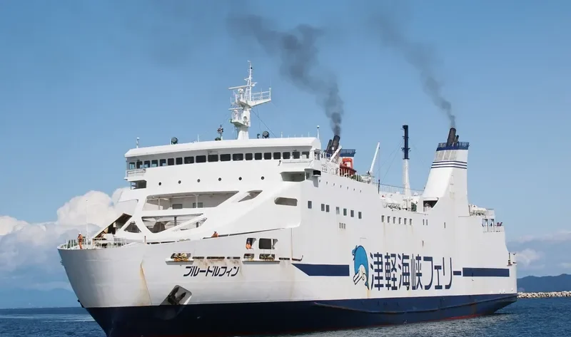 THE BLUE DOLPHIN Ro-Ro IMO 9100437 photo 7