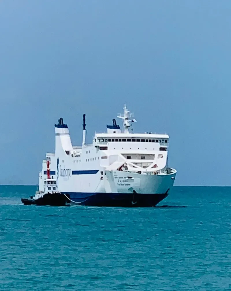 THE BLUE DOLPHIN Ro-Ro IMO 9100437 photo 9