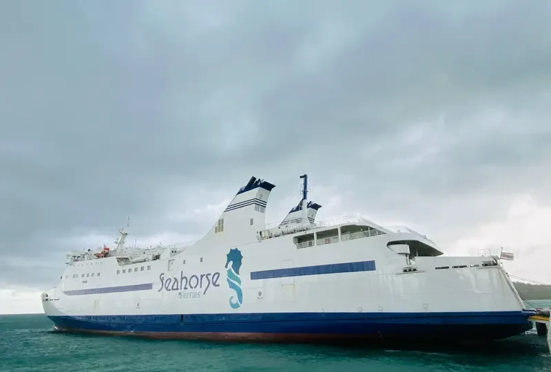 THE BLUE DOLPHIN Ro-Ro IMO 9100437 photo 10