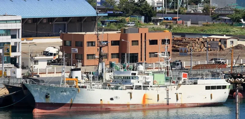 IRBIS General Cargo IMO 9100463 photo 3