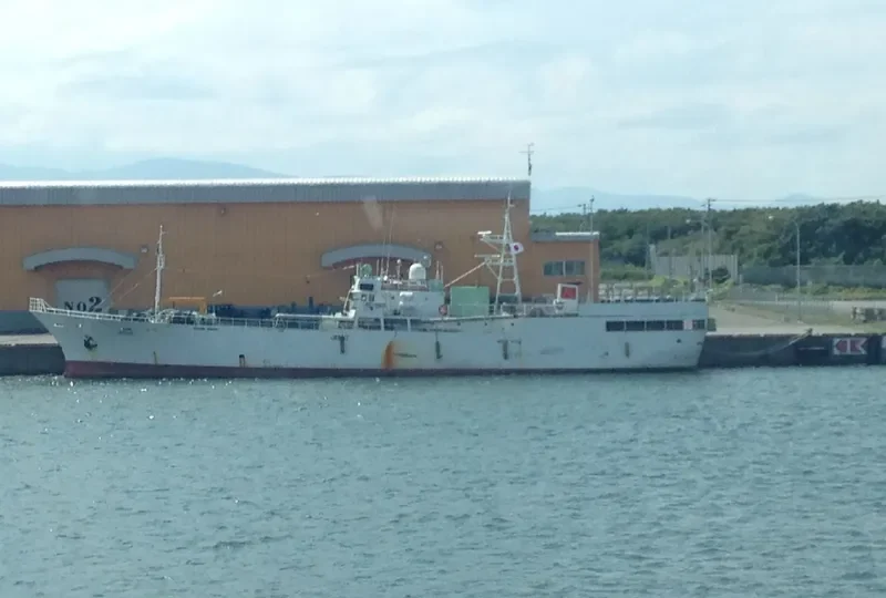 IRBIS General Cargo IMO 9100463 photo 4