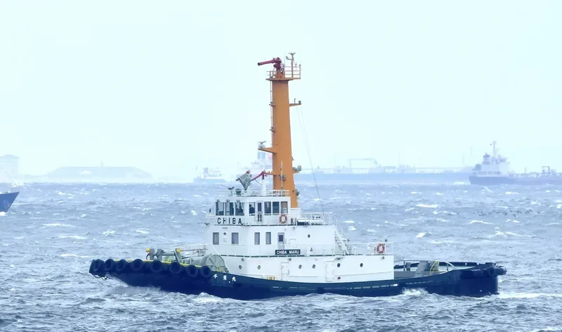 CHIBA MARU General Cargo IMO 9100487