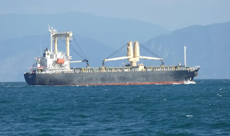 THAILINE 9 General Cargo IMO 9100542 photo 4