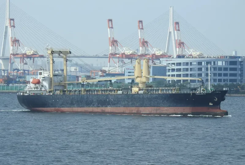 THAILINE 9 General Cargo IMO 9100542 photo 9
