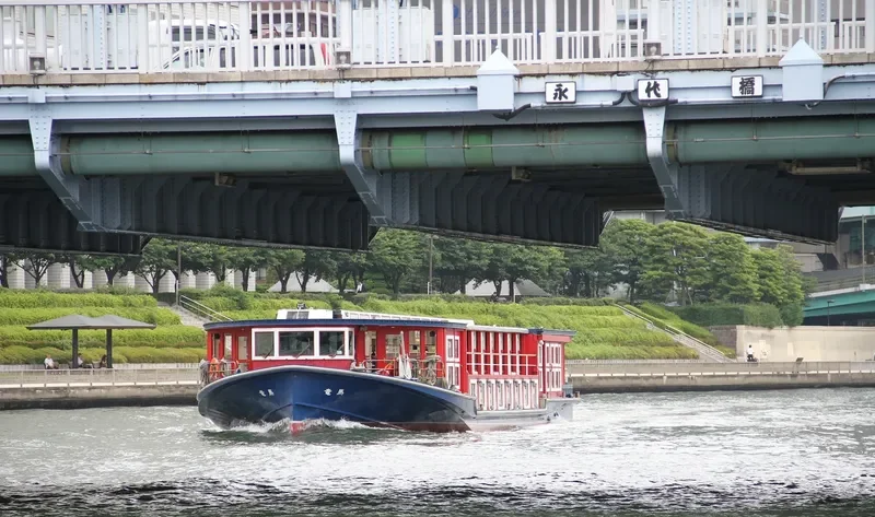 RYOMA Passenger Ship IMO 9100607 photo 2