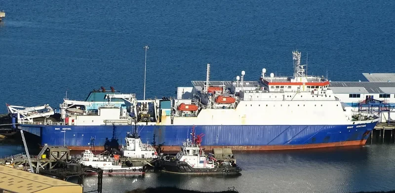 WAVE SENTINEL General Cargo IMO 9100748