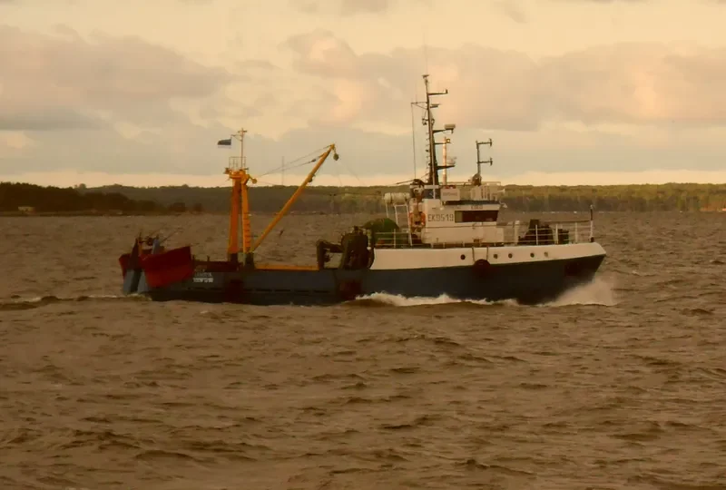 KIIPSAARE General Cargo IMO 9100906
