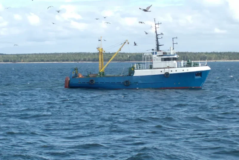 KIIPSAARE General Cargo IMO 9100906 photo 2