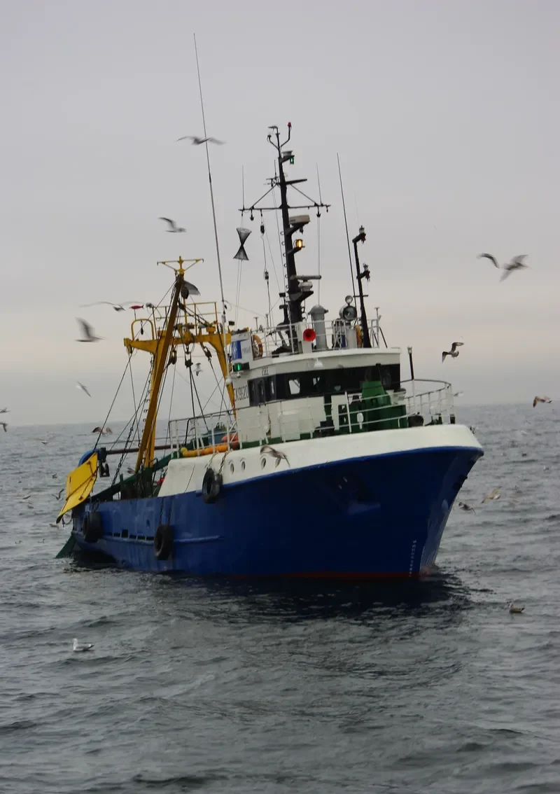 PIIRISAARE General Cargo IMO 9100932