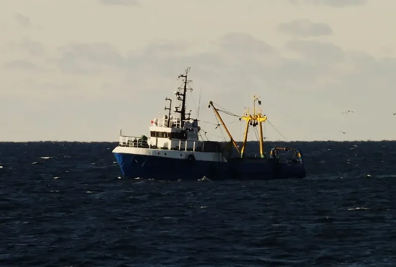 PIIRISAARE General Cargo IMO 9100932 photo 2