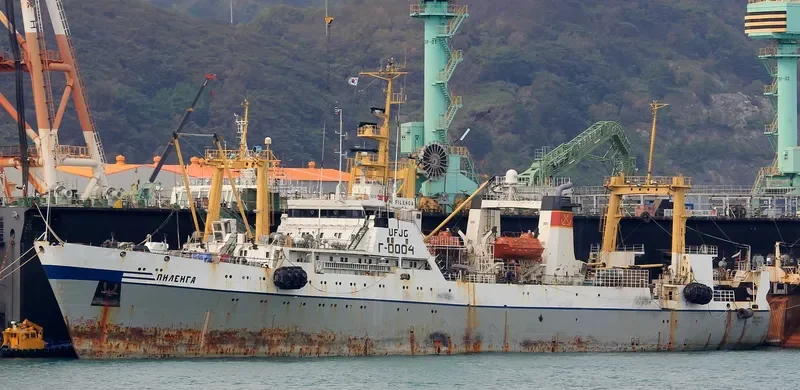 PILENGA General Cargo IMO 9101003 photo 4