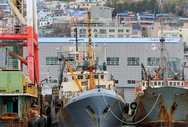 ORLAN General Cargo IMO 9101027 photo 4