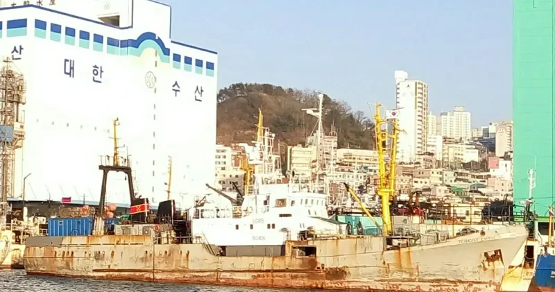 TEKHNOLOG SARKISOV General Cargo IMO 9101053