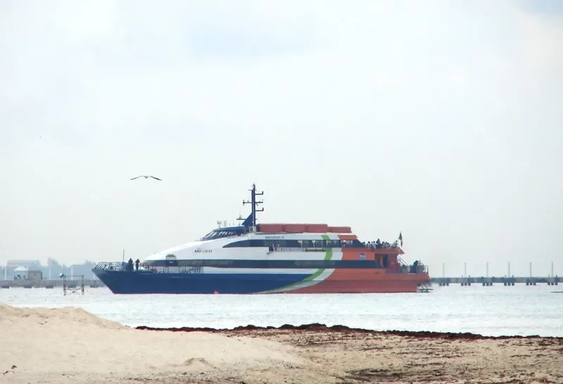 MEXICO V Passenger Ship IMO 9101754 photo 7