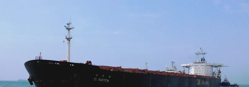 C.MARCH Bulk Carrier IMO 9102227 photo 4