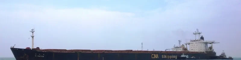 C.MARCH Bulk Carrier IMO 9102227 photo 5