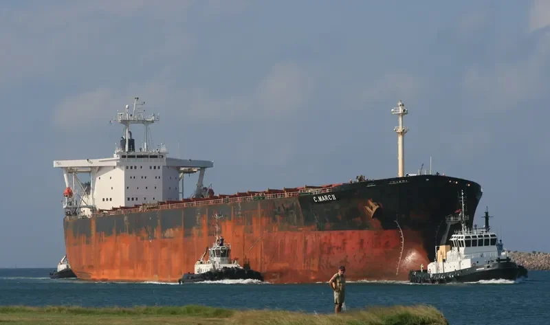 C.MARCH Bulk Carrier IMO 9102227 photo 6