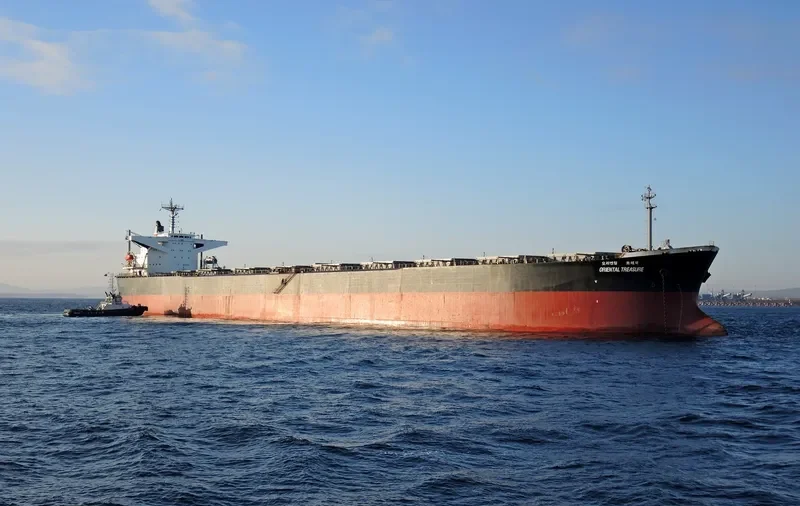 RIENTAL TREASURE Bulk Carrier IMO 9102617 photo 2