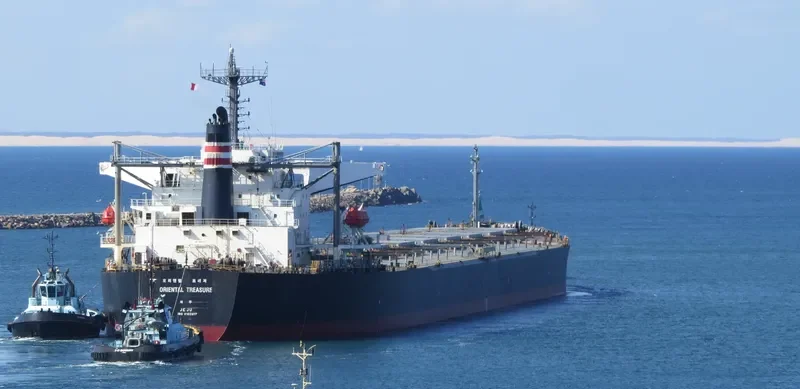 RIENTAL TREASURE Bulk Carrier IMO 9102617 photo 3