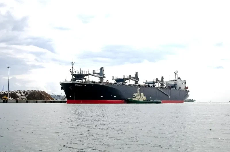 STELLAR KITE General Cargo IMO 9102796 photo 10