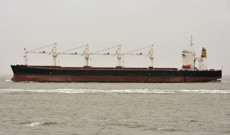 S NIKOLA Bulk Carrier IMO 9102966 photo 8