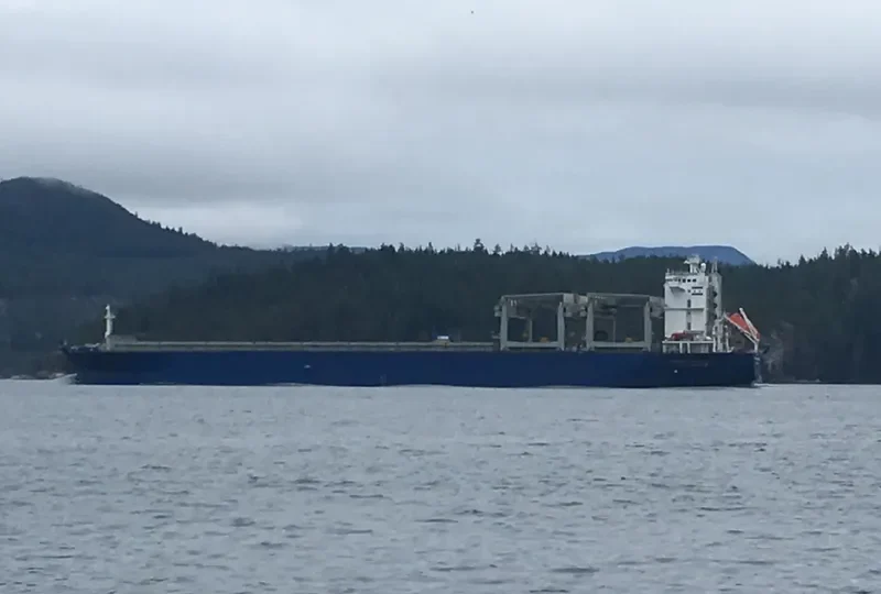 STAR HARMONIA General Cargo IMO 9103130