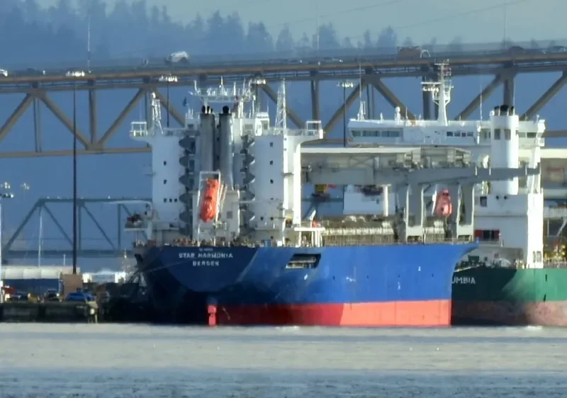 STAR HARMONIA General Cargo IMO 9103130 photo 5