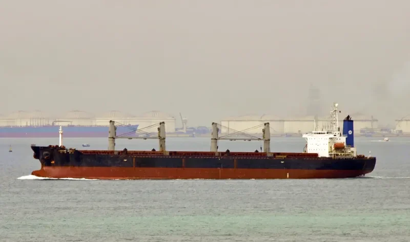 DYNASTY Bulk Carrier IMO 9103142 photo 5