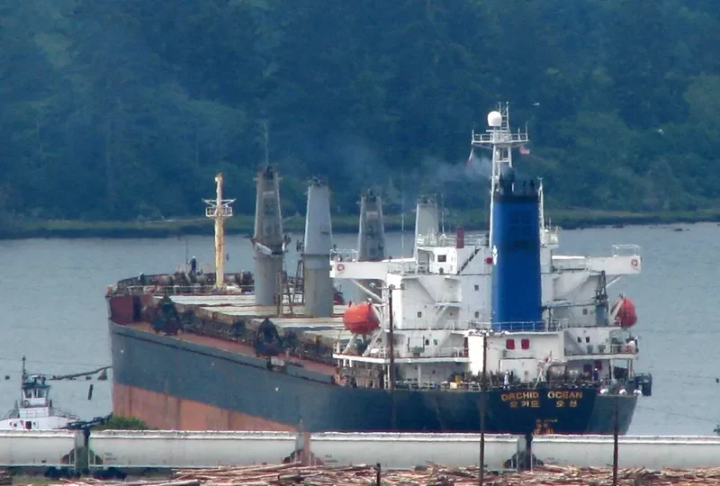 DYNASTY Bulk Carrier IMO 9103142 photo 9