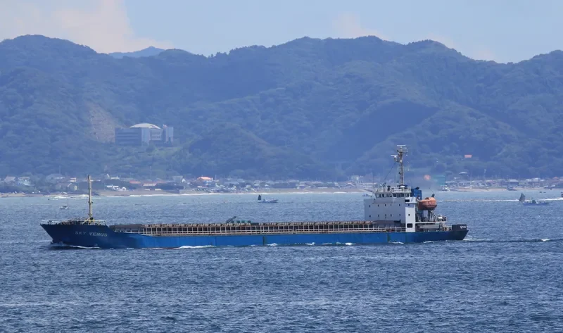 SKY VENUS General Cargo IMO 9103489 photo 4