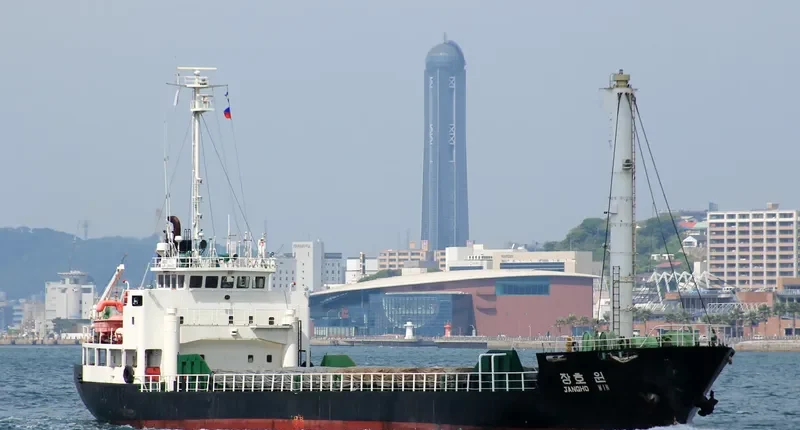 JANGHO WIN General Cargo IMO 9103623 photo 5