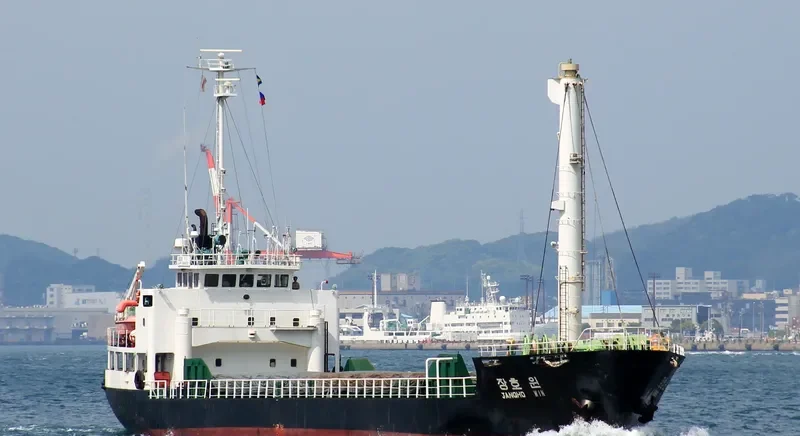 JANGHO WIN General Cargo IMO 9103623 photo 6