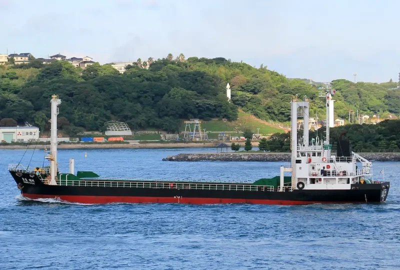 JANGHO WIN General Cargo IMO 9103623 photo 10