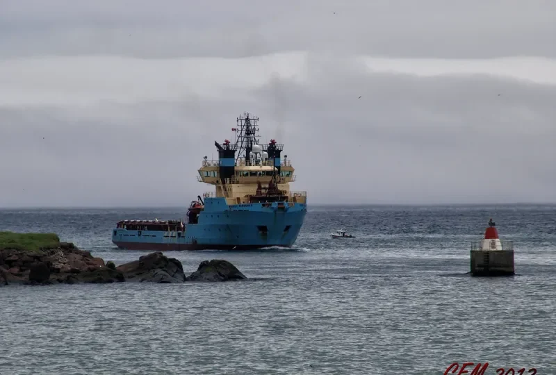WILSON BALTIC Offshore Vessel IMO 9104017 photo 3