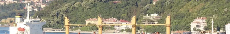 PTOLEMEOS Bulk Carrier IMO 9104081 photo 3