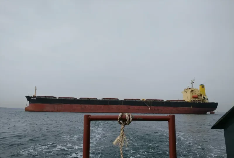 PREMA ONE Bulk Carrier IMO 9104108
