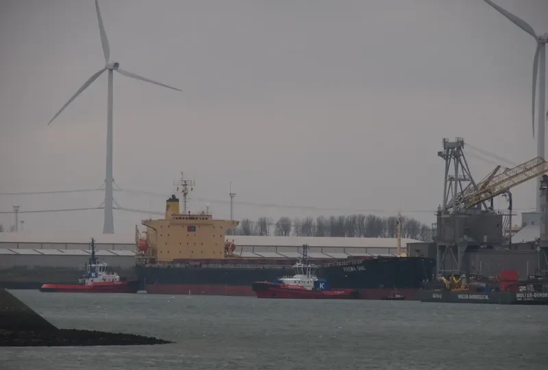PREMA ONE Bulk Carrier IMO 9104108 photo 6