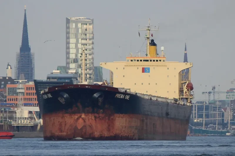PREMA ONE Bulk Carrier IMO 9104108 photo 10