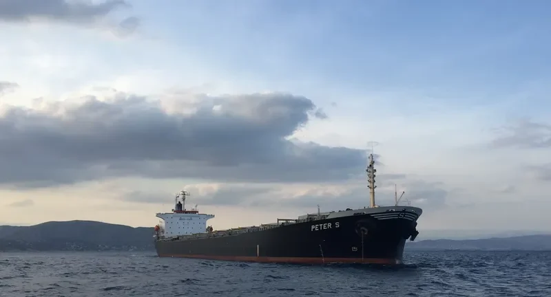 PETER S Bulk Carrier IMO 9104110 photo 3